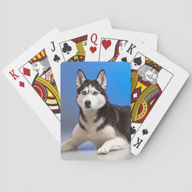 Baraja De Cartas Perro espumoso cutáneo siberiano (Reverso)