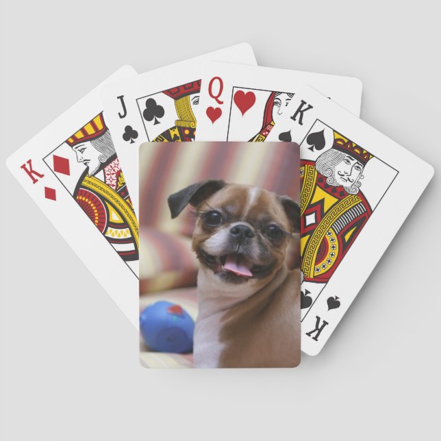 Baraja De Cartas Perro feliz con juguete (Reverso)
