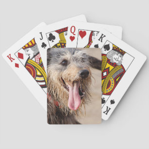 Baraja De Cartas Perro feliz en la playa
