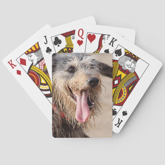 Baraja De Cartas Perro feliz en la playa (Reverso)