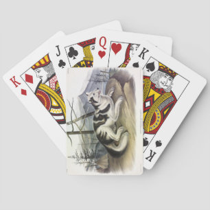 Baraja De Cartas Perro hare-indio (perro del río Mackenzie) de Audu