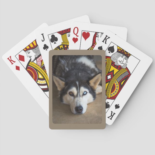 Baraja De Cartas Perro Husky con ojos azules y marrones (Reverso)