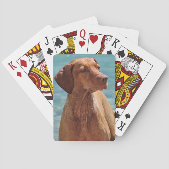Baraja De Cartas Perro Magyar Vizsla (Reverso)
