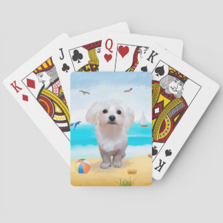 Baraja De Cartas Perro maltés en la playa