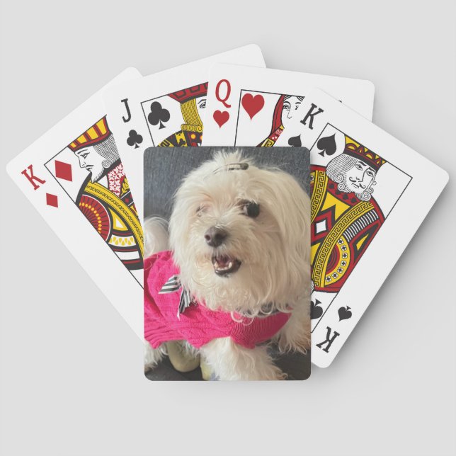 Baraja De Cartas Perro maltés Tarjetas de juego (Reverso)