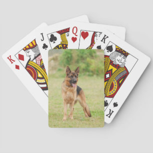 Baraja De Cartas Perro pastor alemán