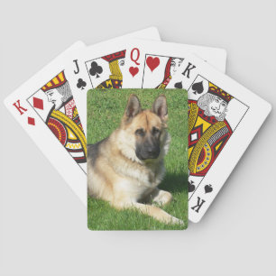 Baraja De Cartas Perro pastor de pastor alemán