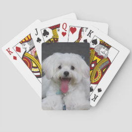 Baraja De Cartas Perro picante maltés blanco feliz