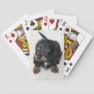 Baraja De Cartas Perro porcino de Dachshund negro
