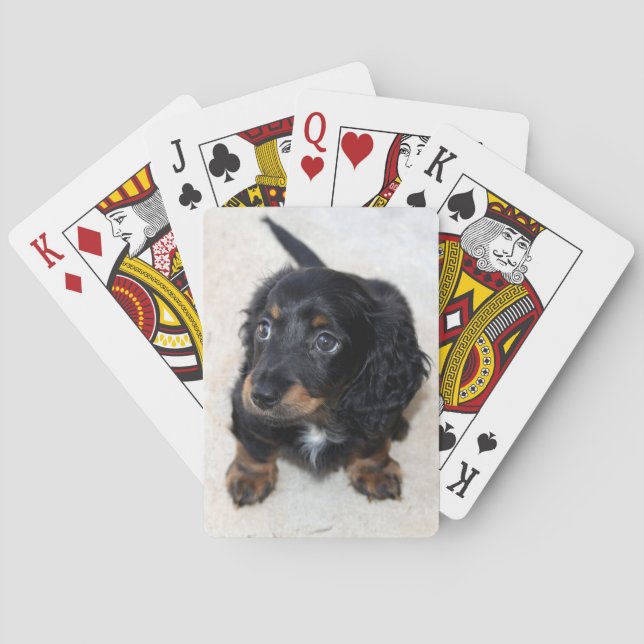 Baraja De Cartas Perro porcino de Dachshund negro (Reverso)