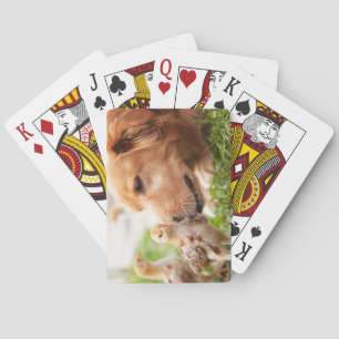 Baraja De Cartas Perro y polluelo
