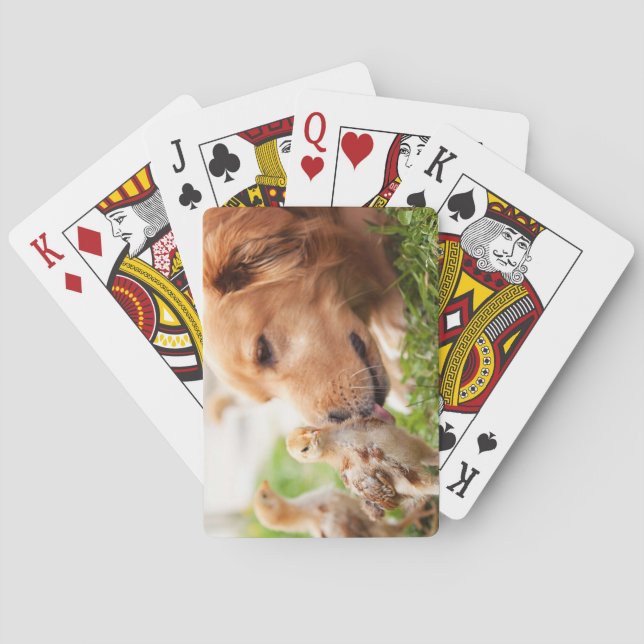 Baraja De Cartas Perro y polluelo (Reverso)
