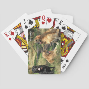 Baraja De Cartas Perros amigos lindos