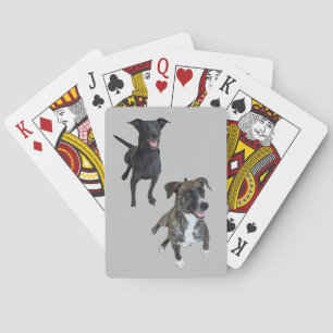 Baraja De Cartas Perros de Carlos