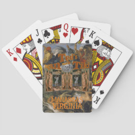 BARAJA DE CARTAS PERROS SESSO SUELTOS HOLYOKE MA MASSACHUSETTS