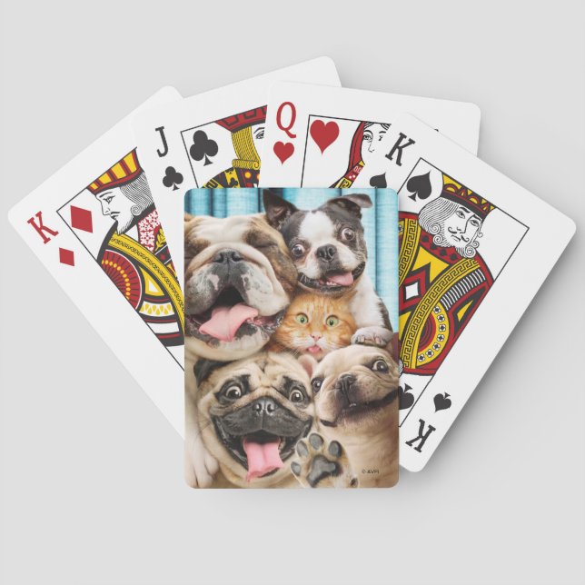 Baraja De Cartas Perros y una foto de un grupo de gatos (Reverso)