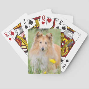 Baraja De Cartas Personalizado personalizado de la foto