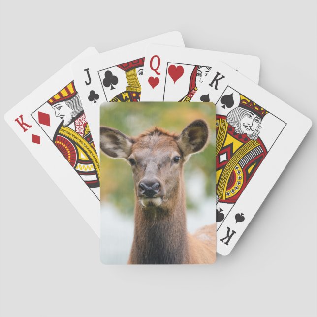 Baraja De Cartas Personalizado personalizado de la foto (Reverso)