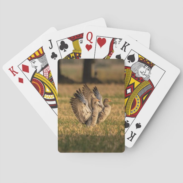 Baraja De Cartas Personalizado personalizado de la foto (Reverso)