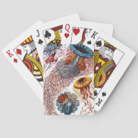 Pescados de jalea de Ernst Haeckel