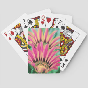 Baraja De Cartas Pétalos de margarita rosa intenso