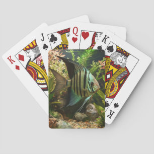 Baraja De Cartas Pez ángel altum rayado