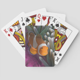 Baraja De Cartas Pez payaso occidental