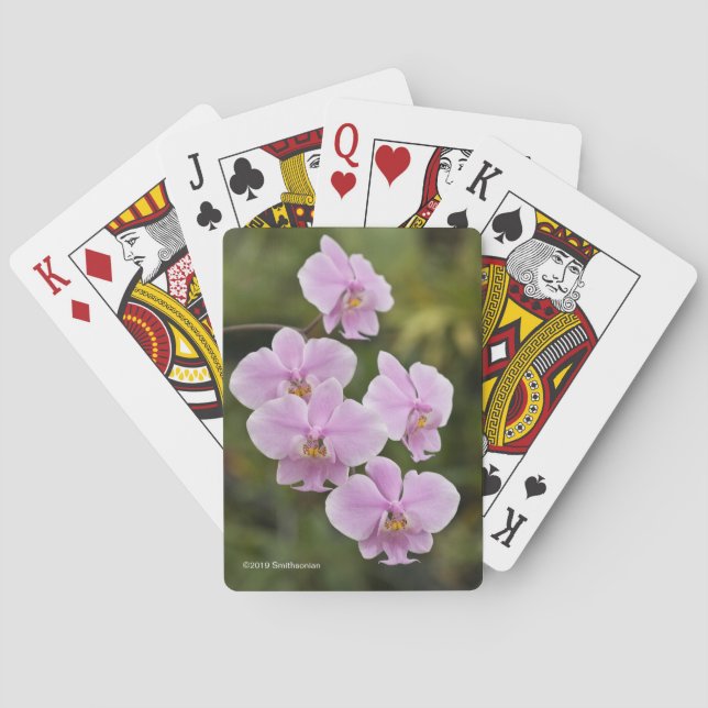 Baraja De Cartas Phalaenopsis Schilleriana (Reverso)