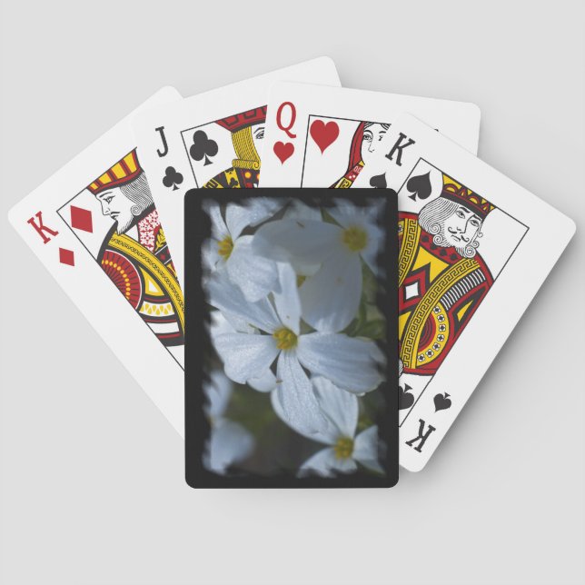 Baraja De Cartas Phlox Black Edge (Reverso)