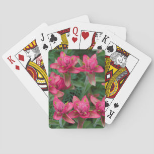 Baraja De Cartas Pincel indio