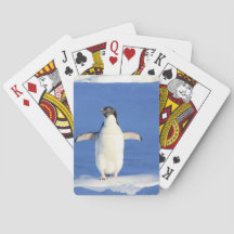 Pingüino