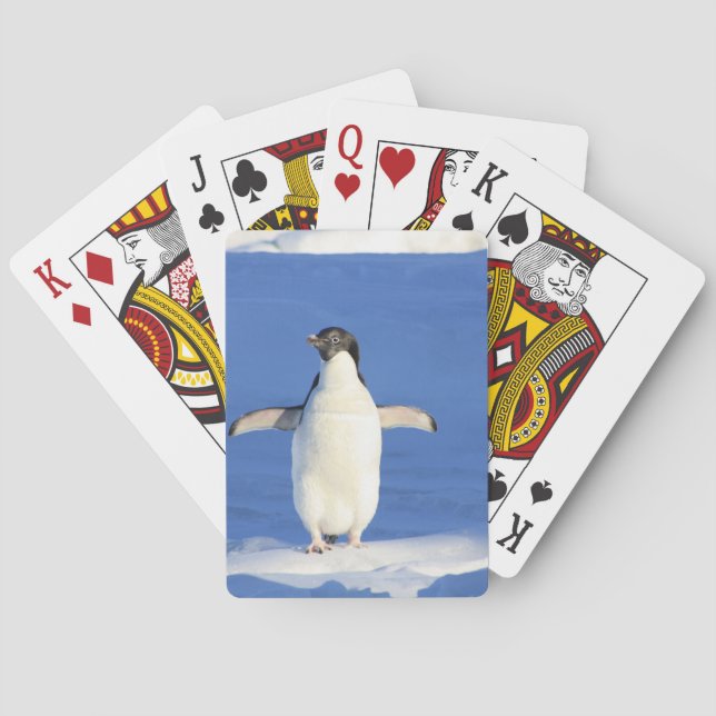 Baraja De Cartas Pingüino (Reverso)