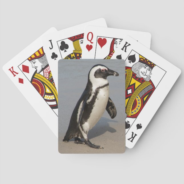 Baraja De Cartas Pingüino Africano Caminando (Reverso)