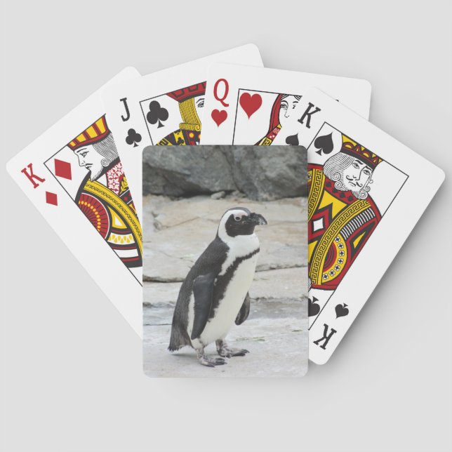 Baraja De Cartas Pingüino blanco y negro sobre las rocas (Reverso)