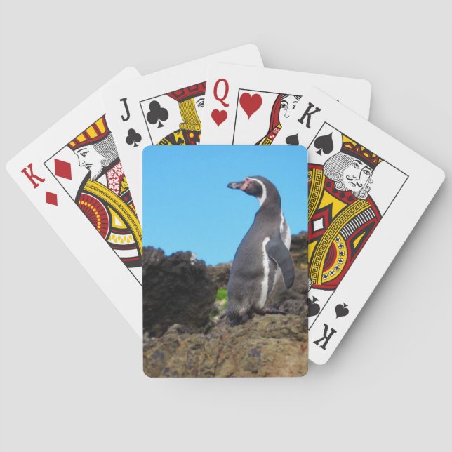 Baraja De Cartas pingüino magellano (Reverso)
