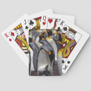Baraja De Cartas Pingüino rey con pollo