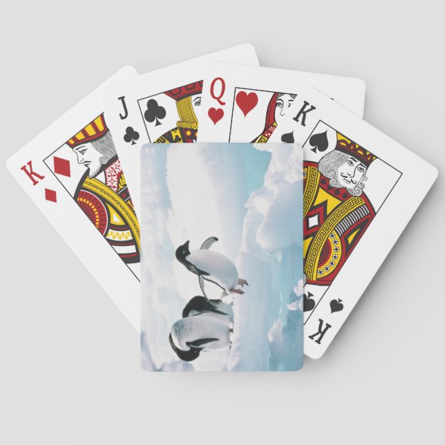 Baraja De Cartas Pingüinos Adelie (pygoscelis adeliae) Antártida (Reverso)