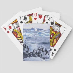Baraja De Cartas Pingüinos de Adelia Pygoscelis adeliae