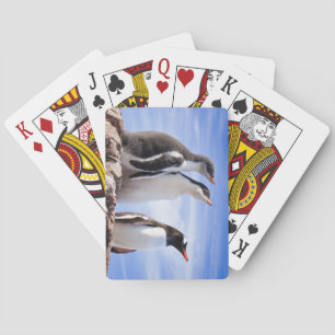 Baraja De Cartas Pingüinos en la Antártida