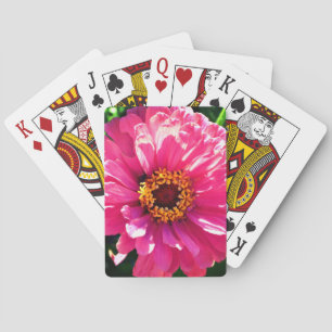 Baraja De Cartas Pink Zinnia