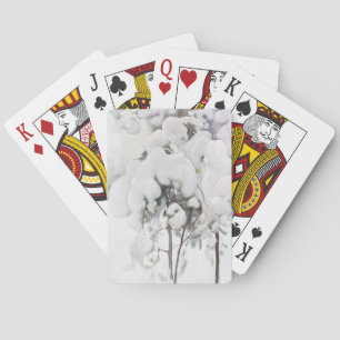 Baraja De Cartas Pinos jóvenes cubiertos de nieve (por Pekka Halone