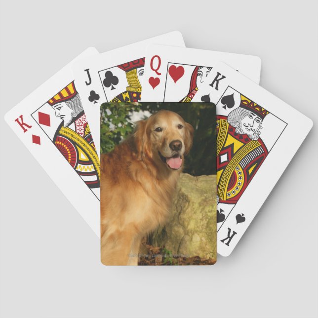 Baraja De Cartas Pintado de Golden Retriever (Reverso)