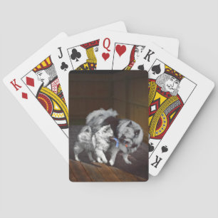 Baraja De Cartas Pintado Keeshond Playtime - Arte Perro Original.