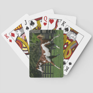 Baraja De Cartas Pinte el caballo que corre 1