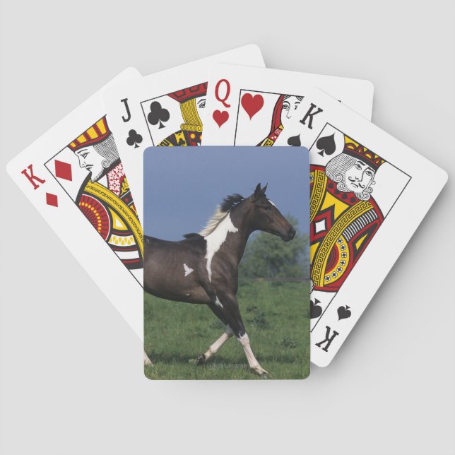 Baraja De Cartas Pinte el caballo que corre 2 (Reverso)