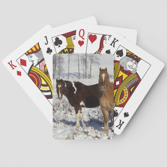 Baraja De Cartas Pinte los caballos en la nieve (Reverso)
