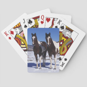 Baraja De Cartas Pinte los caballos que se colocan en la nieve
