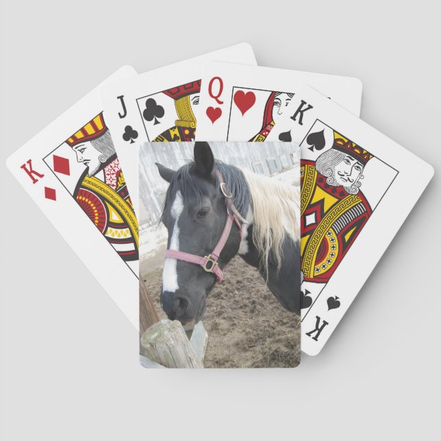 Baraja De Cartas Pinto Caballo (Reverso)