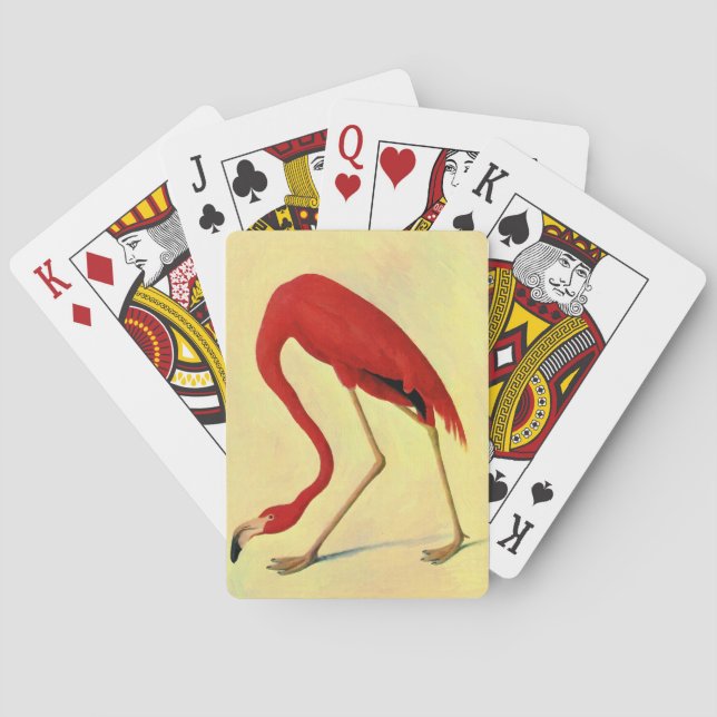 Baraja De Cartas Pintura auduónica de flamencos norteamericanos (Reverso)