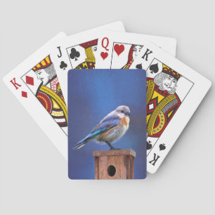 Baraja De Cartas Pintura de ave azul (hembra) - Arte original de av